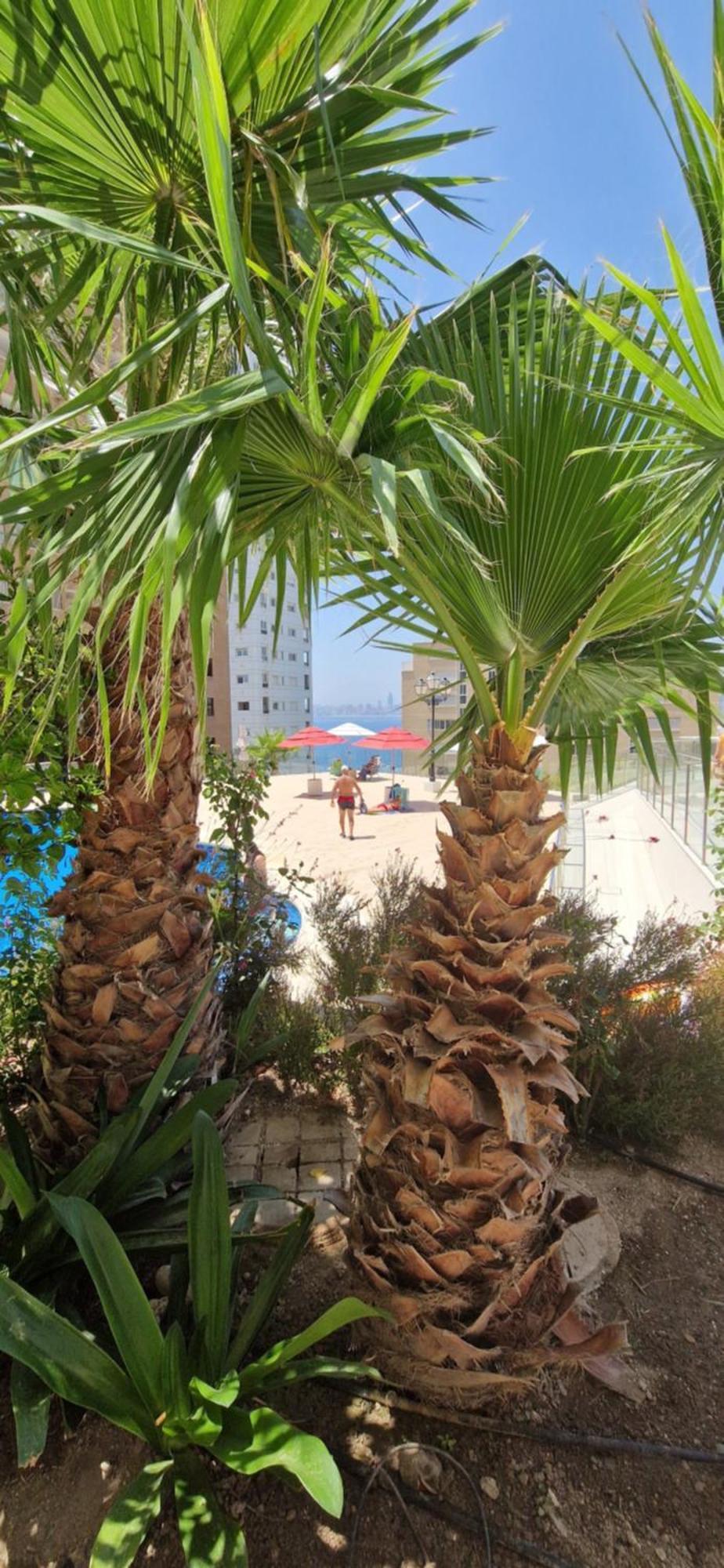 Nice Stay Trinisol 2 Benidorm Exteriér fotografie
